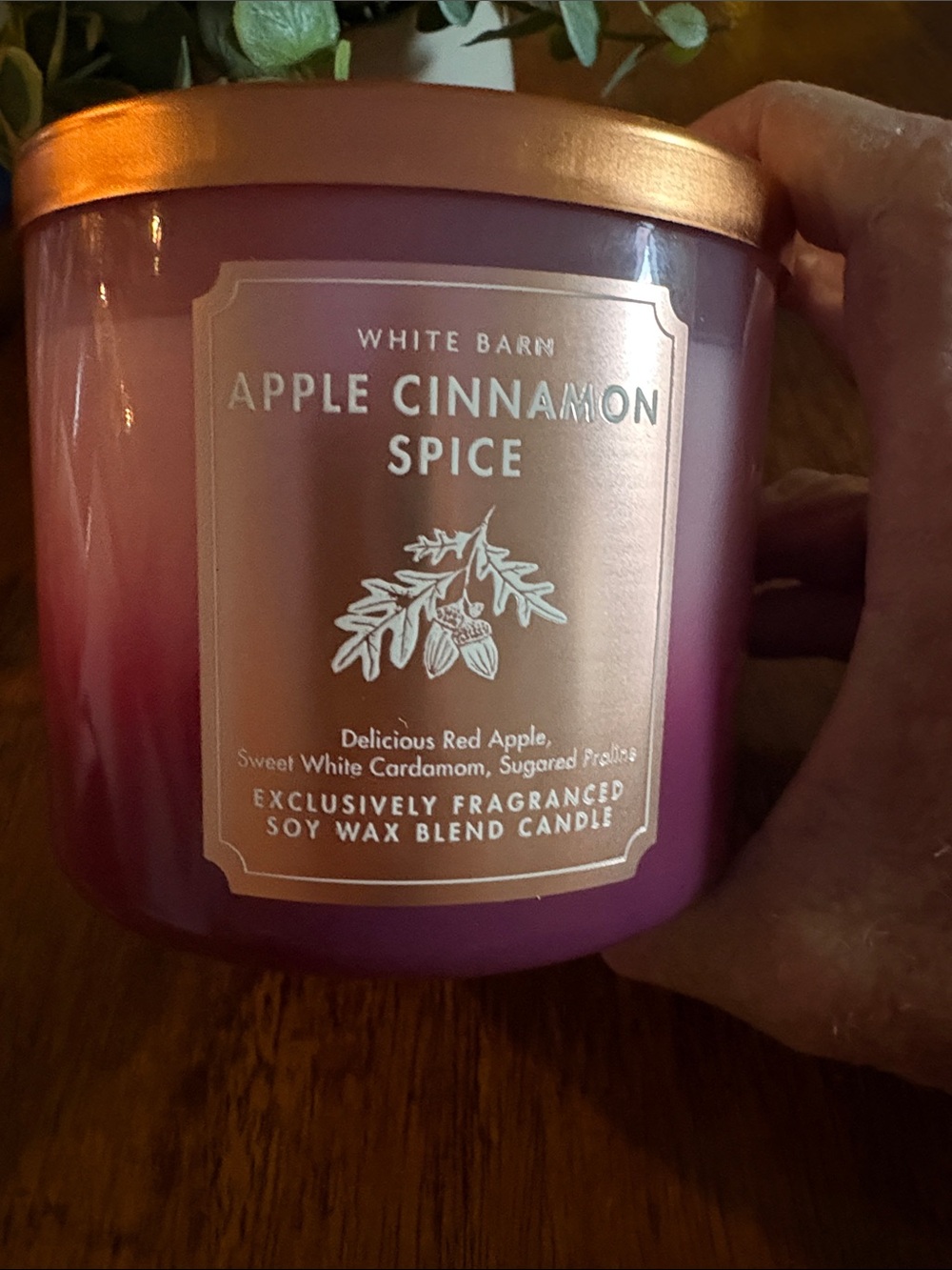 Nwt “Apple Cinnamon Spice” New 2 Toned Look from White Barn ..